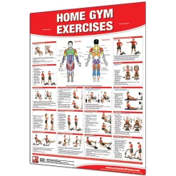 24" X 36" Laminated Fitness Poster / Wall Chart - Home Gym Exercises – Productive Fitness (CHGL)
