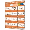 24" X 36" Laminated Fitness Poster / Wall Chart - Medicine Ball Exercises – Productive Fitness (CMBL)