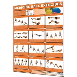 24" X 36" Laminated Fitness Poster / Wall Chart - Medicine Ball Exercises – Productive Fitness (CMBL)