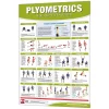 24" X 36" Laminated Fitness Poster / Wall Chart - Plyometrics Exercises – Productive Fitness (CPL)