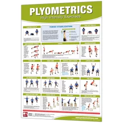 24" X 36" Laminated Fitness Poster / Wall Chart - Plyometrics Exercises – Productive Fitness (CPL)