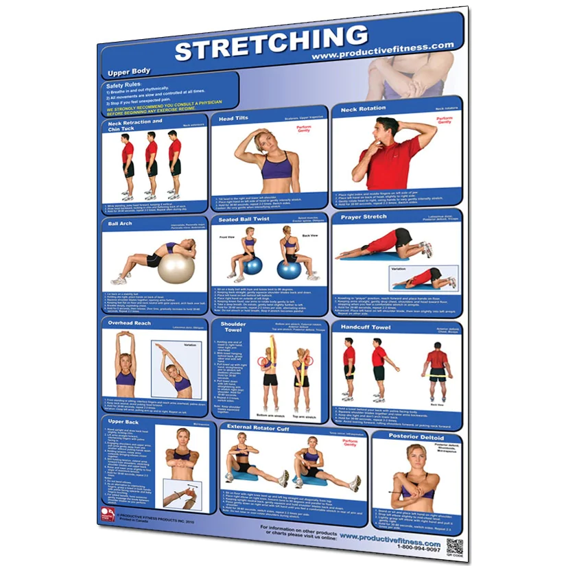 24" X 36" Laminated Fitness Poster / Wall Chart - Stretching – Productive Fitness (CSL) 1 24" X 36" Laminated Fitness Poster / Wall Chart - Stretching – Productive Fitness (CSL)