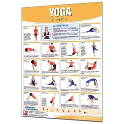 24" X 36" Laminated Fitness Poster / Wall Chart - Yoga Asanas – Productive Fitness (CYL)