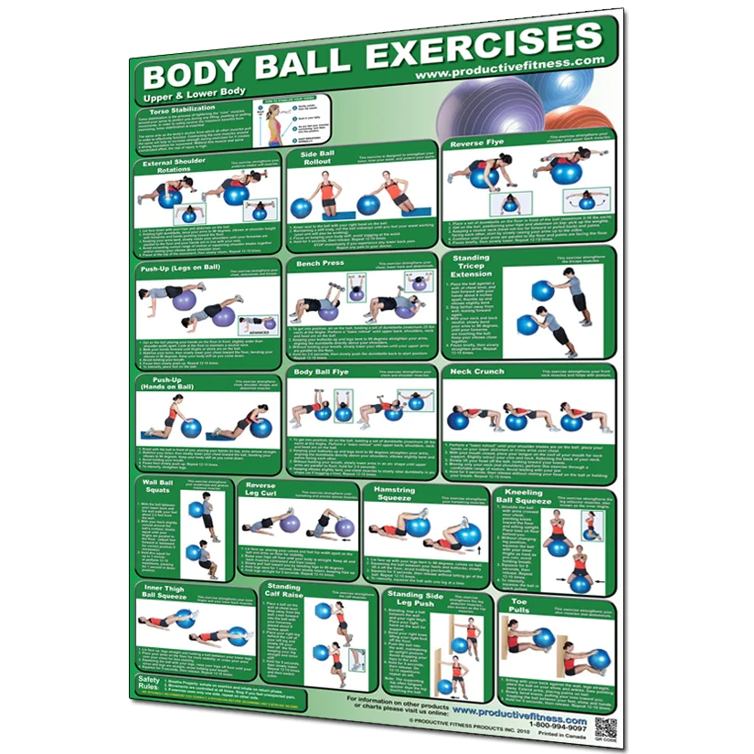 24" X 36" Laminated Fitness Poster / Wall Chart - Body Ball Exercises – Productive Fitness (CBBL) 2 24" X 36" Laminated Fitness Poster / Wall Chart - Body Ball Exercises – Productive Fitness (CBBL) - Image 2