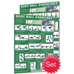 24" X 36" Laminated Fitness Poster / Wall Chart - Body Ball Exercises – Productive Fitness (CBBL) 6 24" X 36" Laminated Fitness Poster / Wall Chart - Body Ball Exercises – Productive Fitness (CBBL) -Detecto Sales wallchartbodyballset