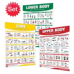 24" X 36" Laminated Fitness Poster / Wall Chart - Body Weight Exercises – Productive Fitness (CBW) -Detecto Sales wallchartbodyweightset
