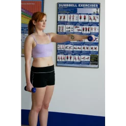 24" X 36" Laminated Fitness Poster / Wall Chart - Dumbbell Exercises – Productive Fitness (CDL) -Detecto Sales wallchartdumbbellexercisesmounted