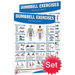 24" X 36" Laminated Fitness Poster / Wall Chart - Dumbbell Exercises – Productive Fitness (CDL) -Detecto Sales wallchartdumbbellworkoutset