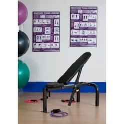 24" X 36" Laminated Fitness Poster / Wall Chart - Resistance Tubing Exercises – Productive Fitness (CRT) -Detecto Sales wallchartresistancetubingmounted2
