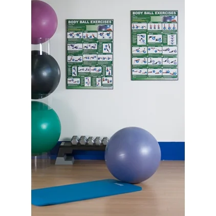 24" X 36" Laminated Fitness Poster / Wall Chart - Body Ball Exercises – Productive Fitness (CBBL) 4 24" X 36" Laminated Fitness Poster / Wall Chart - Body Ball Exercises – Productive Fitness (CBBL) - Image 4