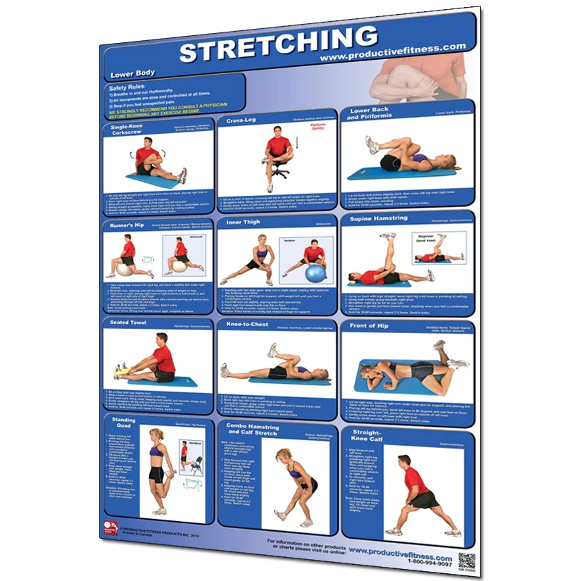 24" X 36" Laminated Fitness Poster / Wall Chart - Stretching – Productive Fitness (CSL) 2 24" X 36" Laminated Fitness Poster / Wall Chart - Stretching – Productive Fitness (CSL) - Image 2